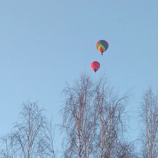 Бор порадовала фиеста аэростатов 2