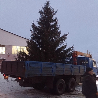 Кантауровцы тоже рады своей ёлке в этом году: 3