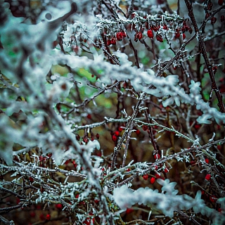 Между осенью и зимой 4