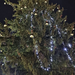 Новогоднее настроение начали создавать в Большом Пикино 1