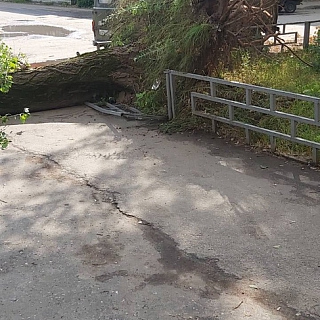 Более 15 населенных пунктов на Бору остались без света после грозы 1