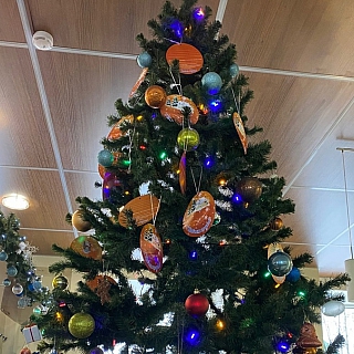 На Бору продолжается благотворительная акция "Мандарин" 3