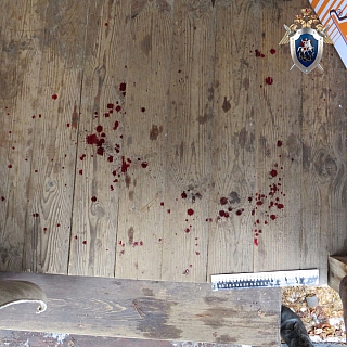 Борчанин подозревается в убийстве жены 3