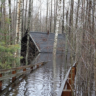 В Керженском заповеднике затопило избушку Бабы Яги 6