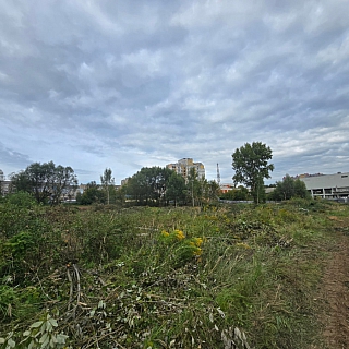 Видимо, три фотографии для истории 2