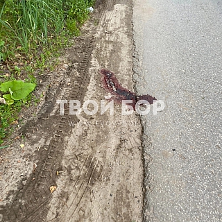 Хронология событий трагедии в Октябрьском 6