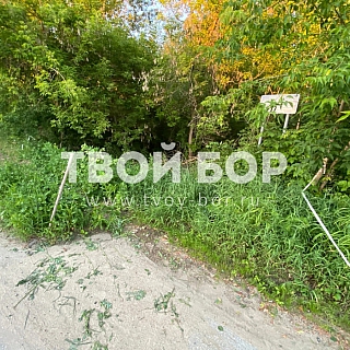 Хронология событий трагедии в Октябрьском 4