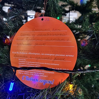 На Бору стартовала ежегодная благотворительная акция «Мандарин» 1