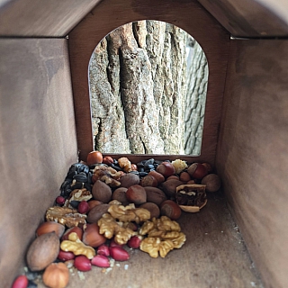 Борчане и белки 2