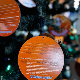 На Бору стартовала ежегодная благотворительная акция «Мандарин» 2