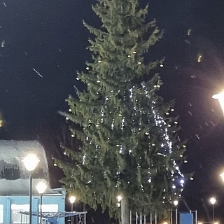 Новогоднее настроение начали создавать в Большом Пикино 2