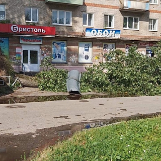 Более 15 населенных пунктов на Бору остались без света после грозы 2