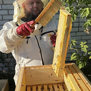 Борский пчеловод получил высокую Всероссийскую награду 1