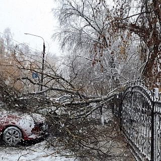 На Бору случился снежный коллапс 1