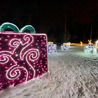 Новогоднее освещение на Бору обещает быть интересным 2