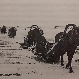 Борчане, с Днём города Бор! 4