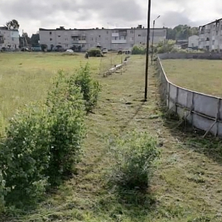 Более 9 тысяч человек проголосовало за борские объекты 4