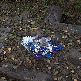 Опасная красота в Керженском заповеднике 3