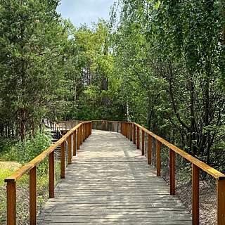 В России всего один город с названием Бор! 3