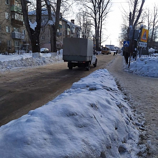 В Неклюдово начали отлавливать бездомных собак 2