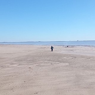 Горьковское водохранилище обмелело 2