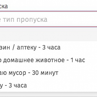 Для выхода из дома жителям Бора следует получить специальное подтверждение! 7