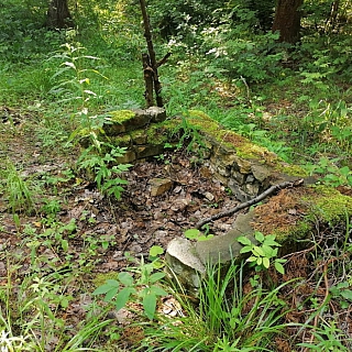 Могилы пленных немцев на Бору 6