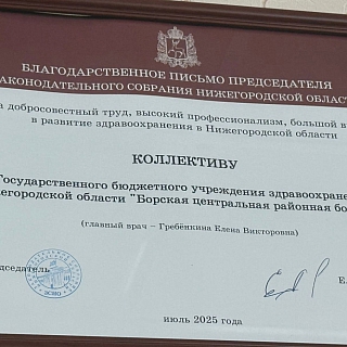 Борская ЦРБ получила благодарственное письмо 1