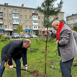 Новая Аллея появилась на Бору 9