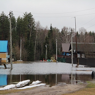 В Керженском заповеднике затопило избушку Бабы Яги 1