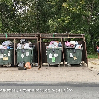 Волонтёры помогают следить за порядком на контейнерных площадках Борского округа 4