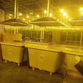 Как выглядят борские теплицы внутри 3