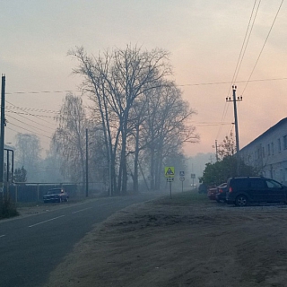 Ситники задыхаются от торфяного дыма 4