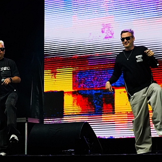 «Отпетые мошенники» на Бору 5