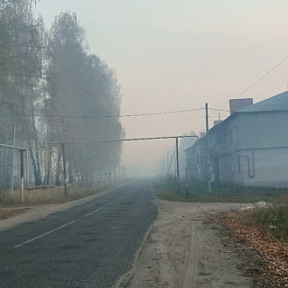 Ситники задыхаются от торфяного дыма 2