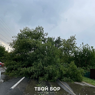 Настоящее стихийное бедствие обрушилось на Бор 3