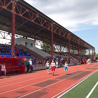 Бо­лее ты­ся­чи юных спортс­ме­нов по­участ­во­ва­ли в ак­ции «Я вы­би­раю спорт» на Бо­ру 6