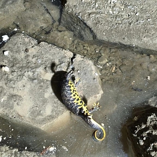 "Век живи, век офигевай" — борчанка 2