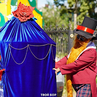 На Бору состоялся семейный парад 2