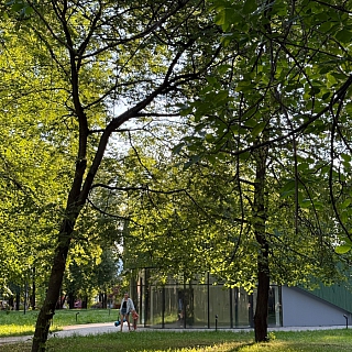 Какие магазинчики хотят видеть борчане в парке? 2