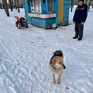 Центральный парк развлечений "Бора-Бора" закрывают навсегда 5