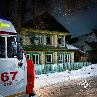 Пожилая женщина погибла в пожаре на Бору 1