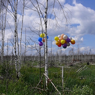 Опасная красота в Керженском заповеднике 1