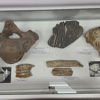 Давно хотели рассказать об одном замечательном человеке, память о котором должна оставаться на Бору всегда 6