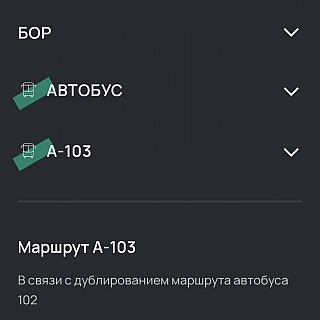 Большие перемены в борских маршрутах 1