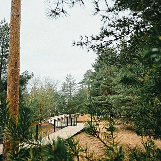 Волга хорошо разлилась 4