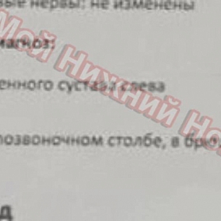 На Бору завелся живодер, который расстреливает животных 1