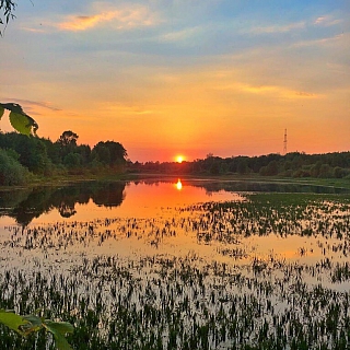 Лучшие фотографии за 2019 год 7