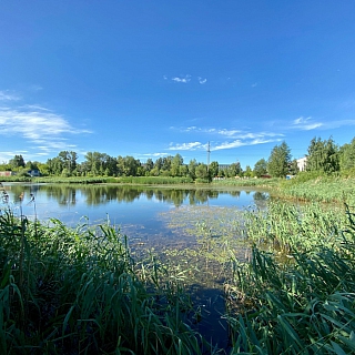В парке Максимова почистят берег водоема 3