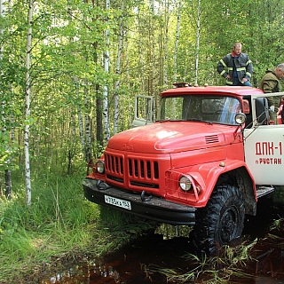 Порой на Бору с нашего молчаливого согласия происходят страшные вещи 5